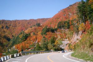 紅葉のホワイトロード