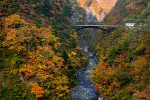 紅葉時期の蛇谷大橋