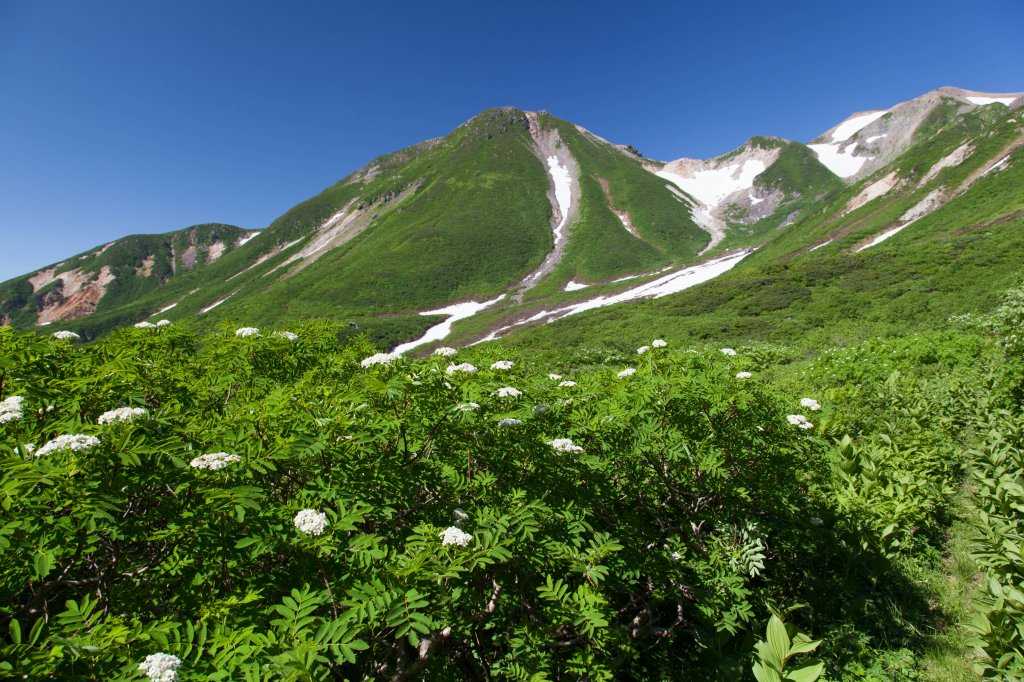 白山