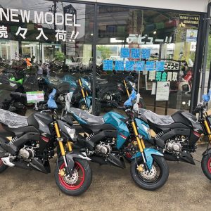 ★Ｚ125ＰＲＯ★