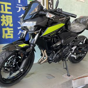 ★ＮＥＷｶﾗｰＫａｗａｓａｋｉ　Ｚ250★